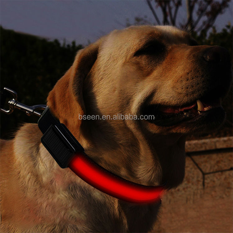 import pet animal products led dog shock collar for humans from china