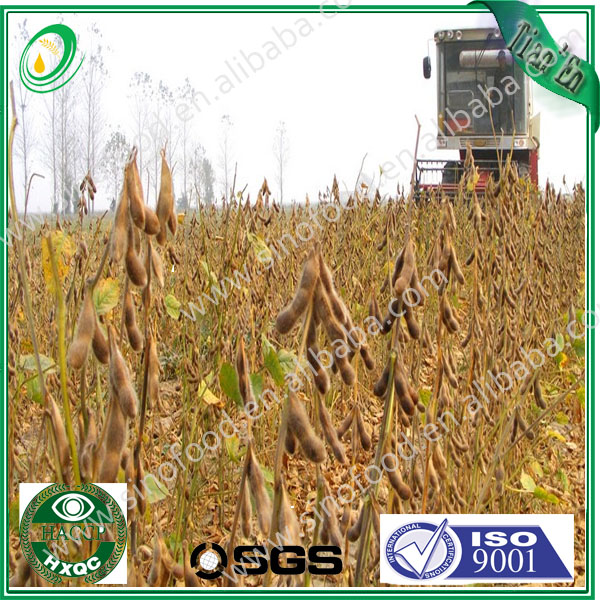 Refined soybean oil--most competitive market price
