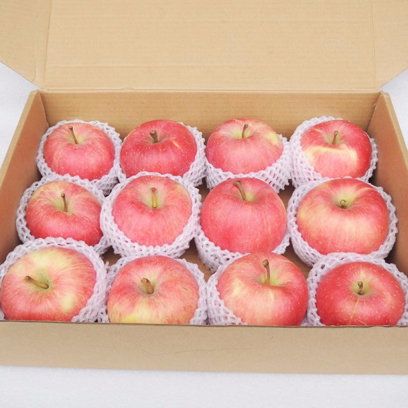 apple 11.jpg