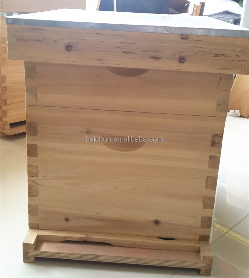 10 Frames Beekeeping Dadant Beehive Bee Hive Two Layer Hive Made In ...