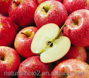 instant apple tea powder for drinking