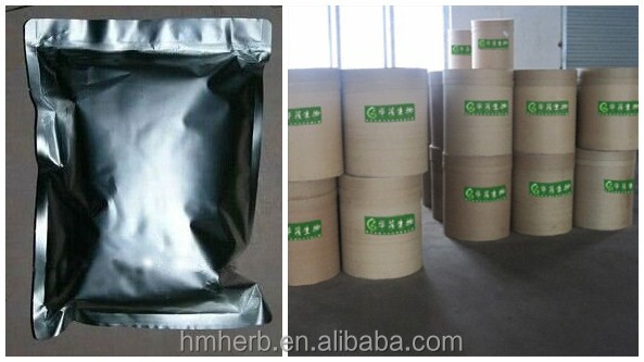 GMP Factory offer Nutritional Supplements/Antioxidant Rosemary leaf extract 2.5%-98% Rosmarinic acid