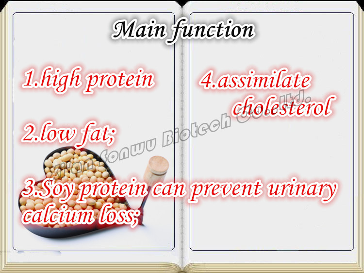 soya protein isolate/9010-10-0