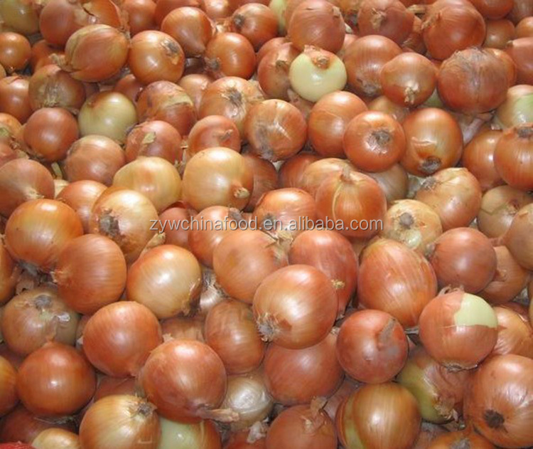 Fresh Red Onion Chinese Bulk Onion Hot Sale