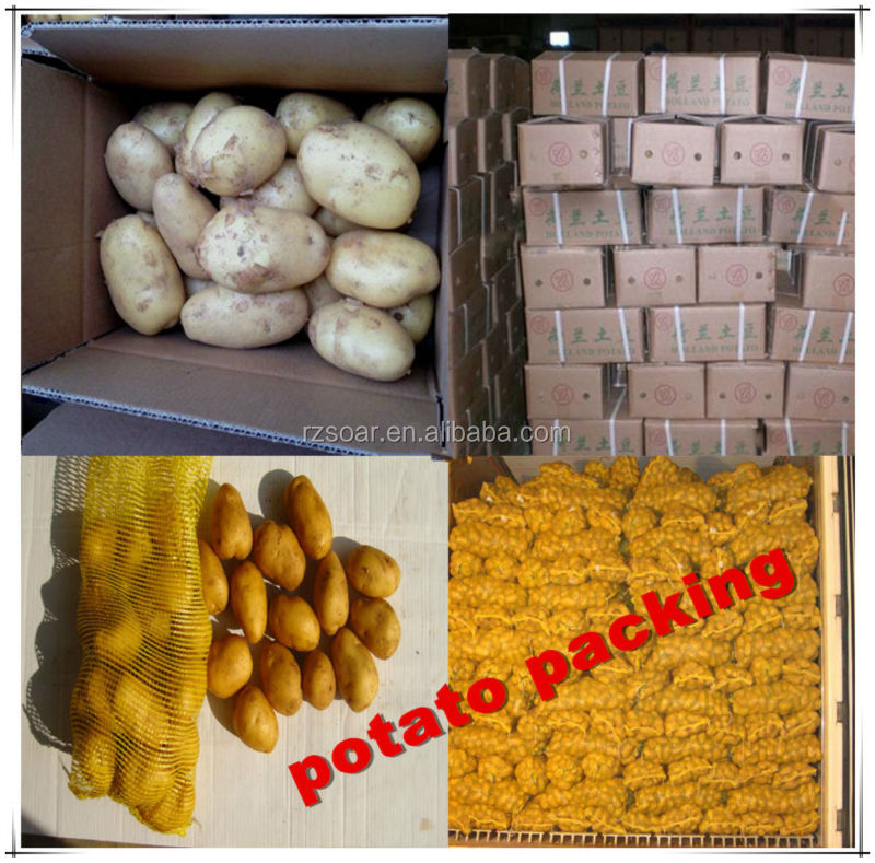 potato 10kg carton export to malaysia