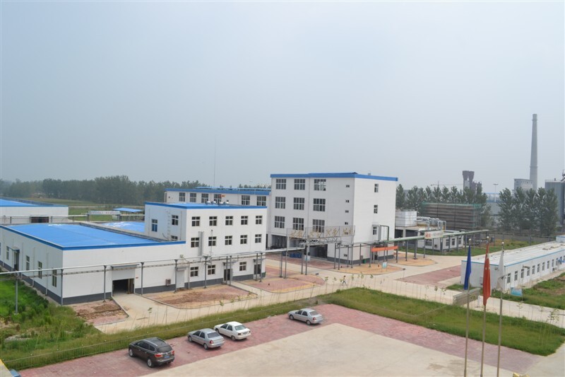 GMP and KoSHER Nutural Proanthocyanidins Grape Seed Extract