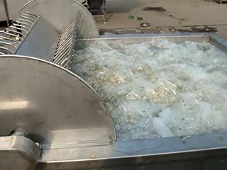 Bean-sprout washing machine I