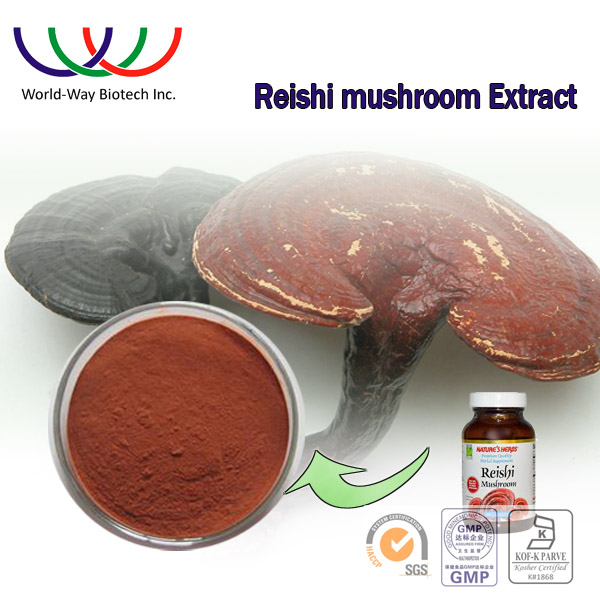 Ganoderma lucidum extract GMP HACCP certified facotry supply polysaccharide 10% Ganoderma lucidum extract