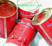 bulk tomato paste in drum