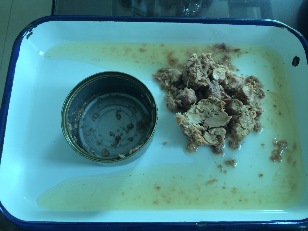 canned tuna chunk in brine 1.JPG