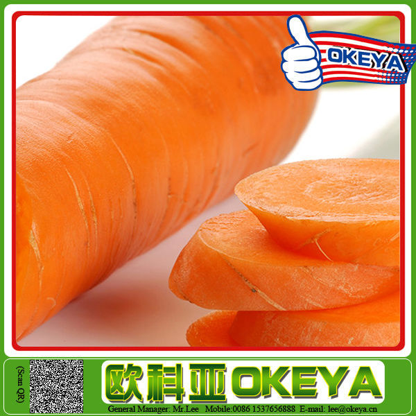 Original Okeye New Arrival carrot 316 variety
