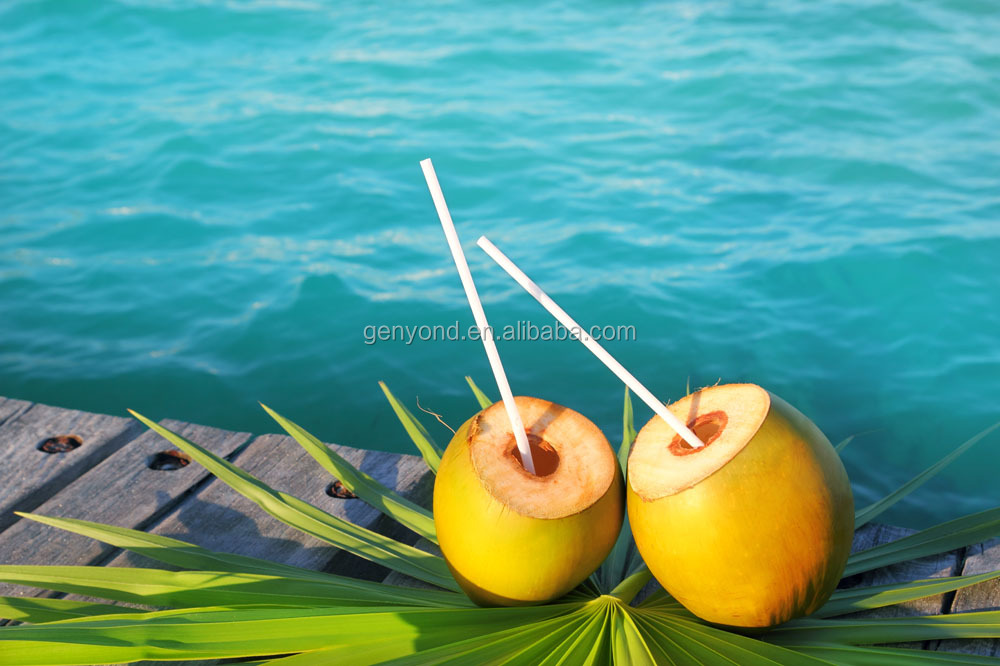 UHT fresh coconut water processing line / coconut juice processing line