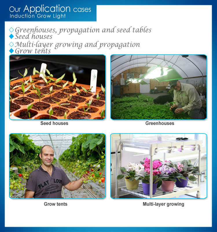 赤青発光色誘導屋内植物のための植物は、 ランプを育てる問屋・仕入れ・卸・卸売り