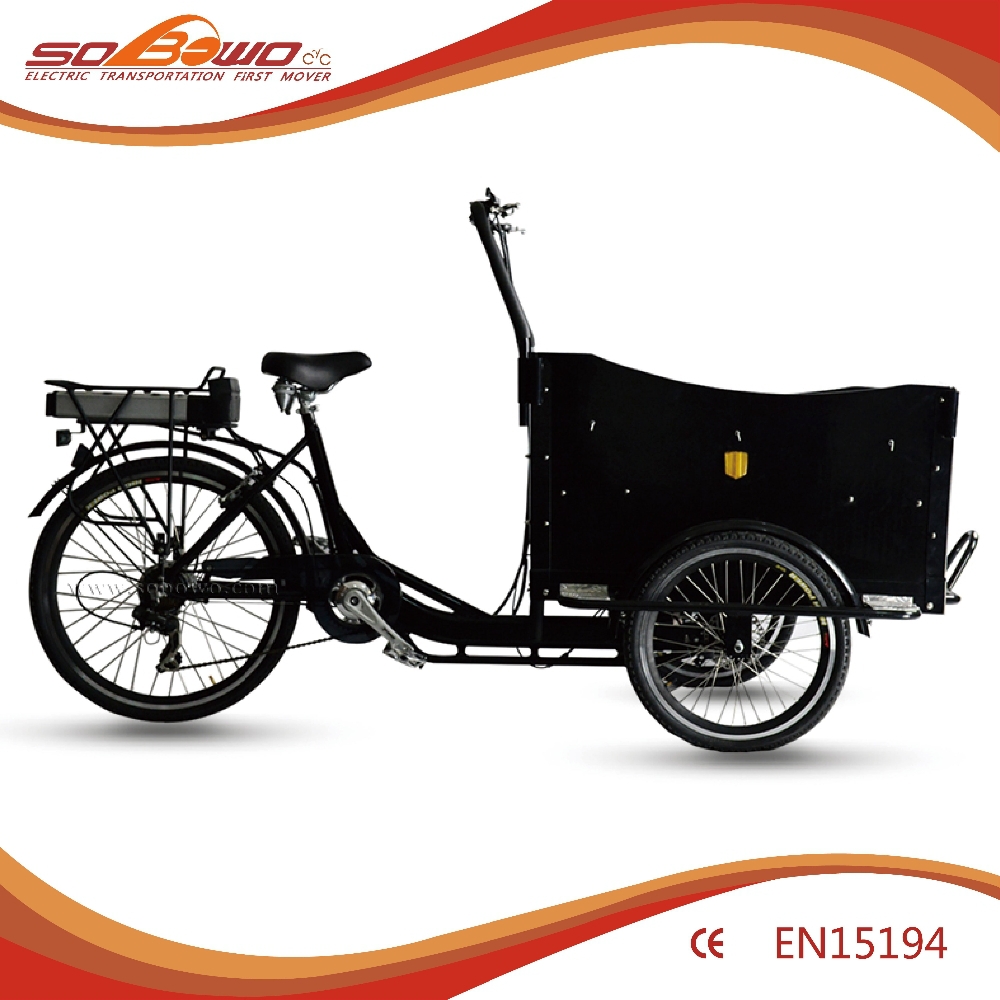 Buy Adult Tricycle 15