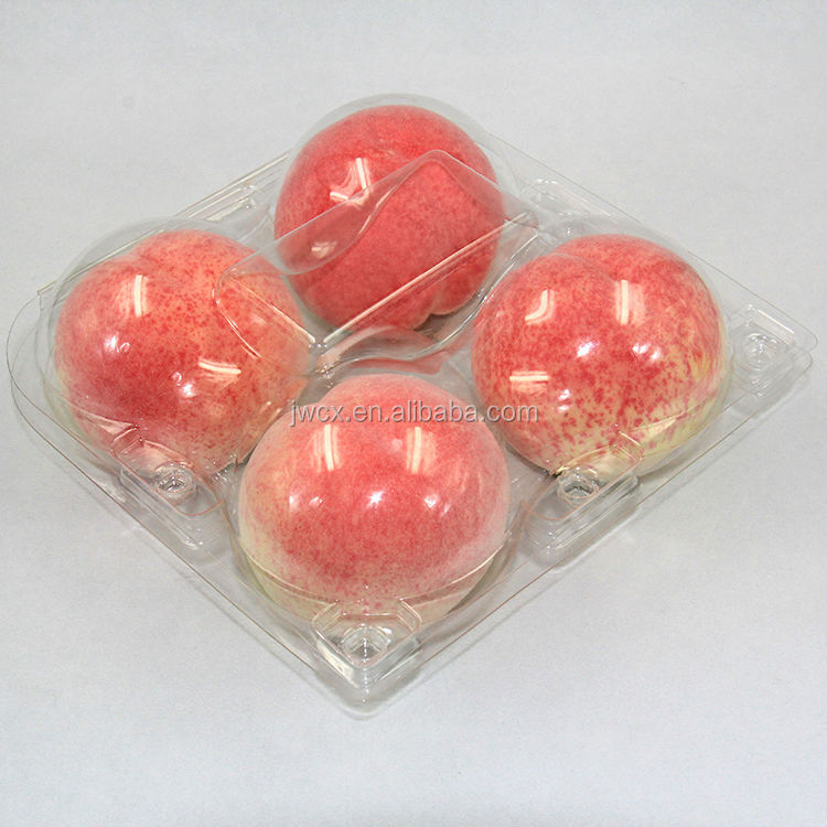 rectangular plastic tray for packing fruit and vegetables
