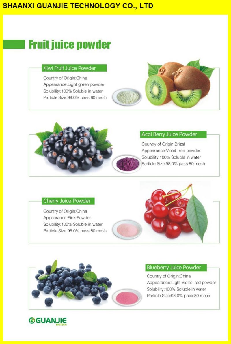 ISO Manufacturer Wholesale Best Price Organic Goji Berry Powder