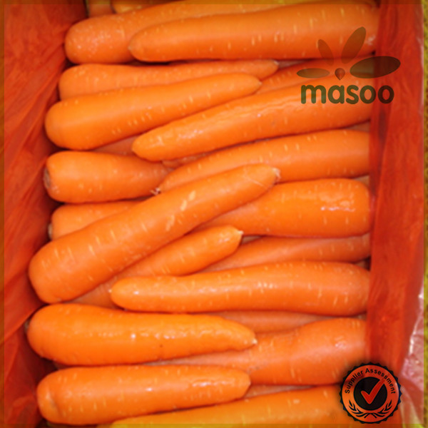 2014 new crop fresh seasonable vegetables plush carrot /carrot exporter in China