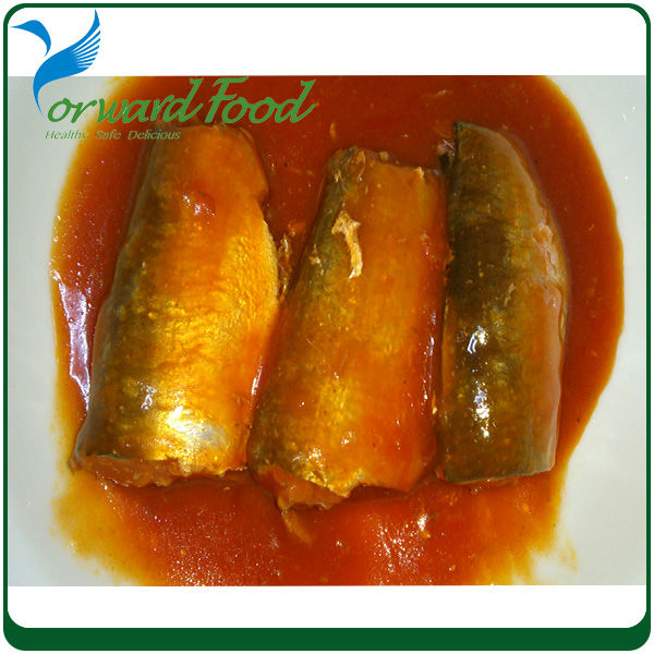 canned sardine in oil from Asian