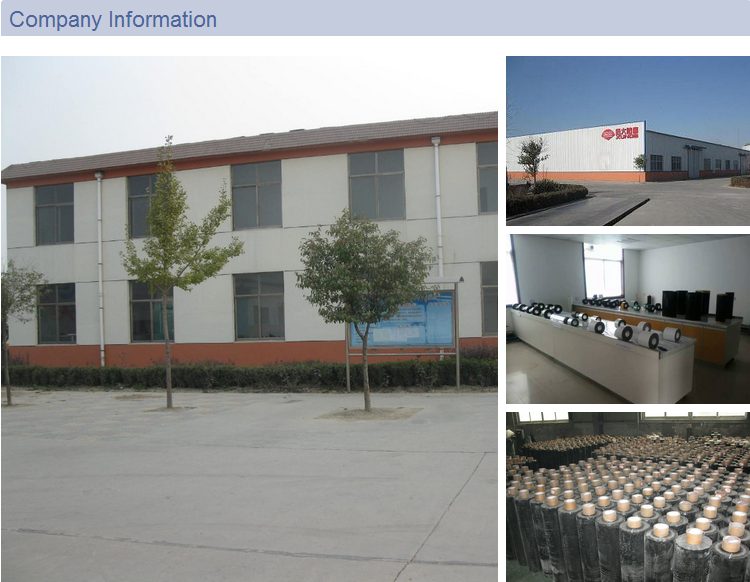 company information