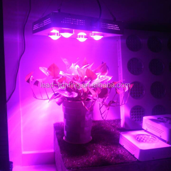 Aquaponics greenhouse indoor grow veg and flower panel led grow lights 