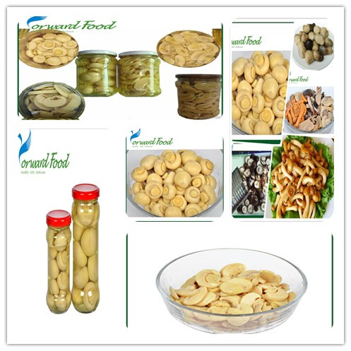 2014 new crop sliced mushroom in jar