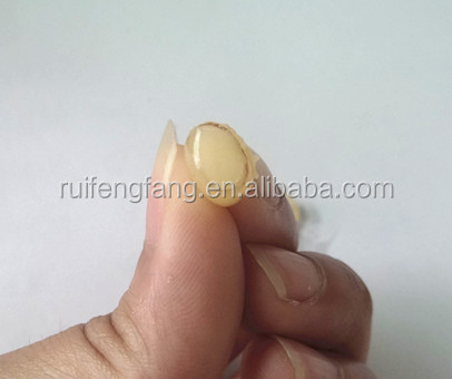 The high extract royal jelly factory lyophilizer price with best quality