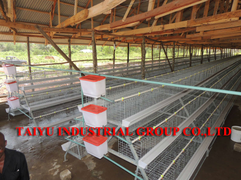 designs for chicken houses in kenya, View designs for chicken houses