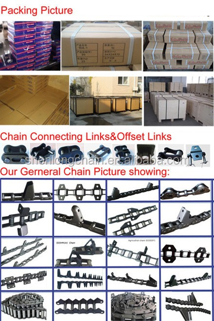 Shenlong Chain Picture three