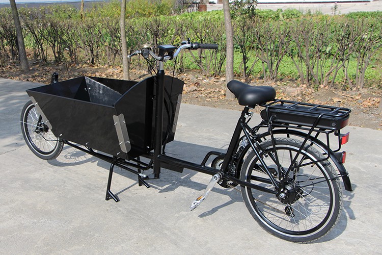 Adult Pedal Two Wheel Cheap Cargo Bike Manufacturer
