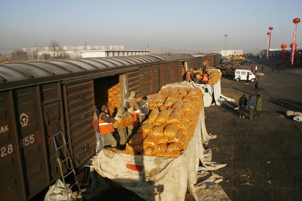 2014 new fresh artificial potato of high quality