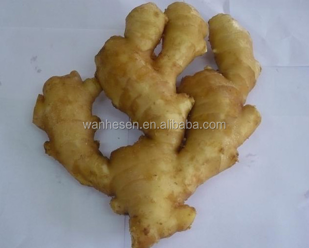 bulk fresh ginger from shandong, ginger market in China