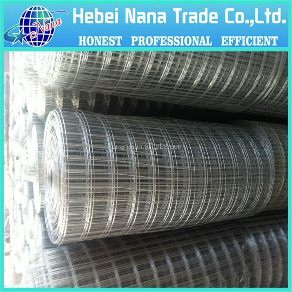 small hole chicken wire mesh / stainless wire mesh for sale