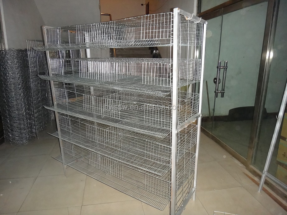 quail cages-2.JPG