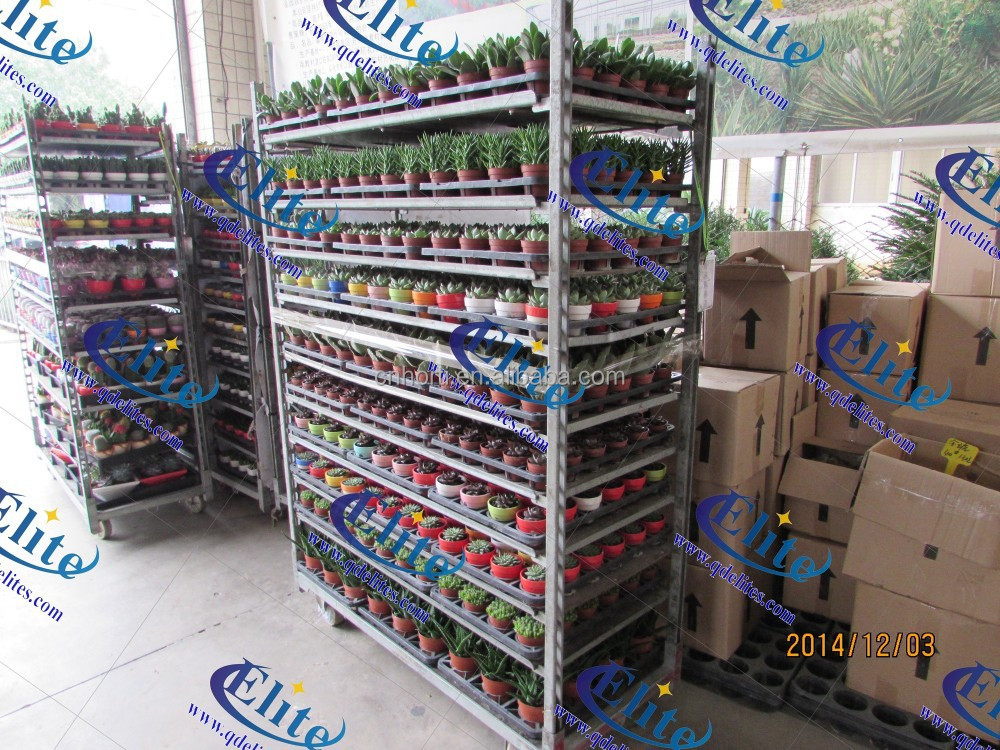 Plant Nursery Equipment / Nursery Cart / Flower Nursery Trolley Buy