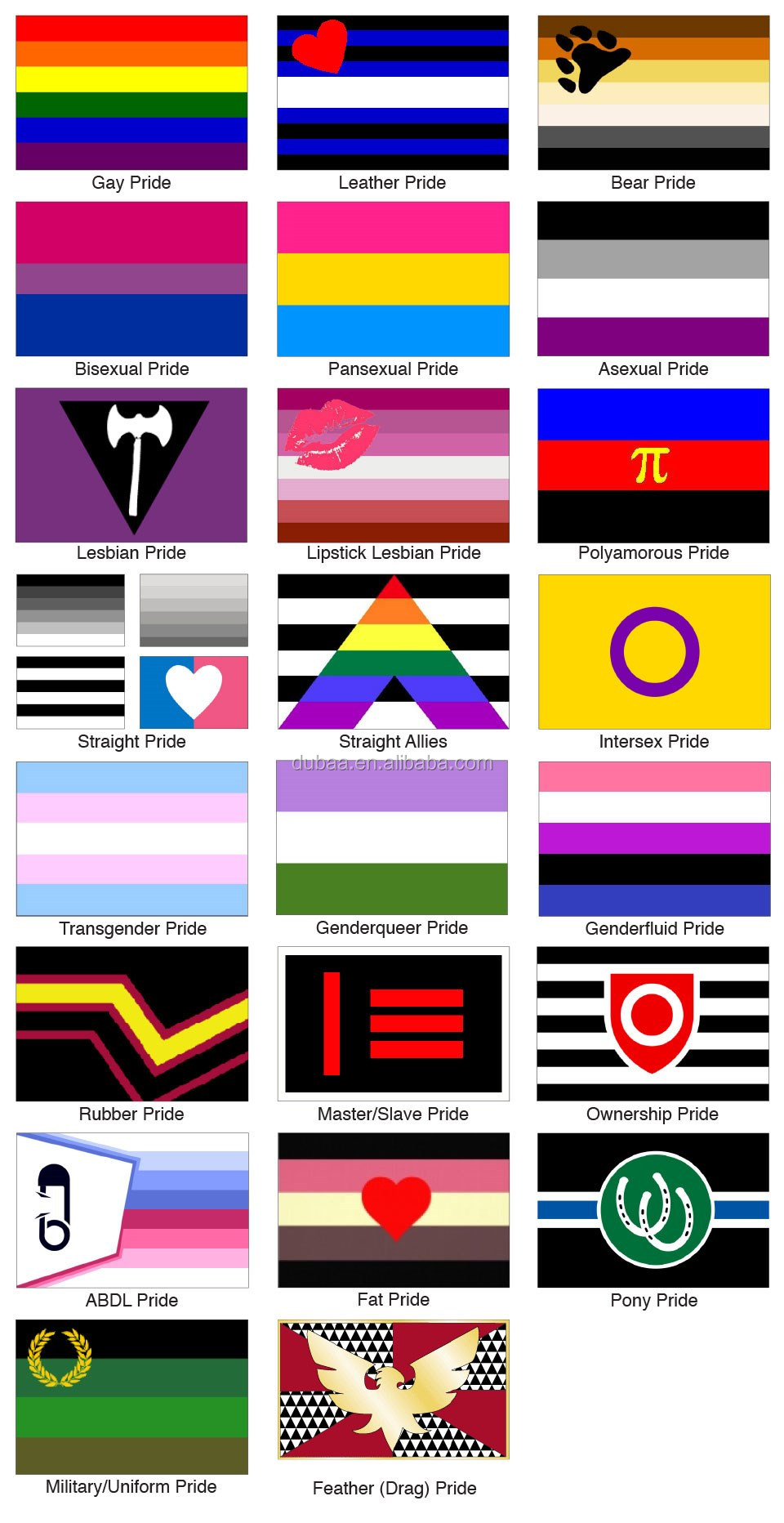 lesbian flag purple