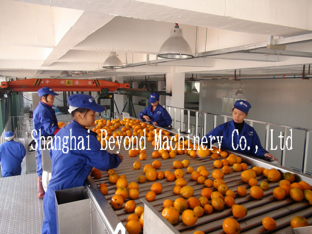 200 tons per day automatic Orange citrus processing line fruit juice production line