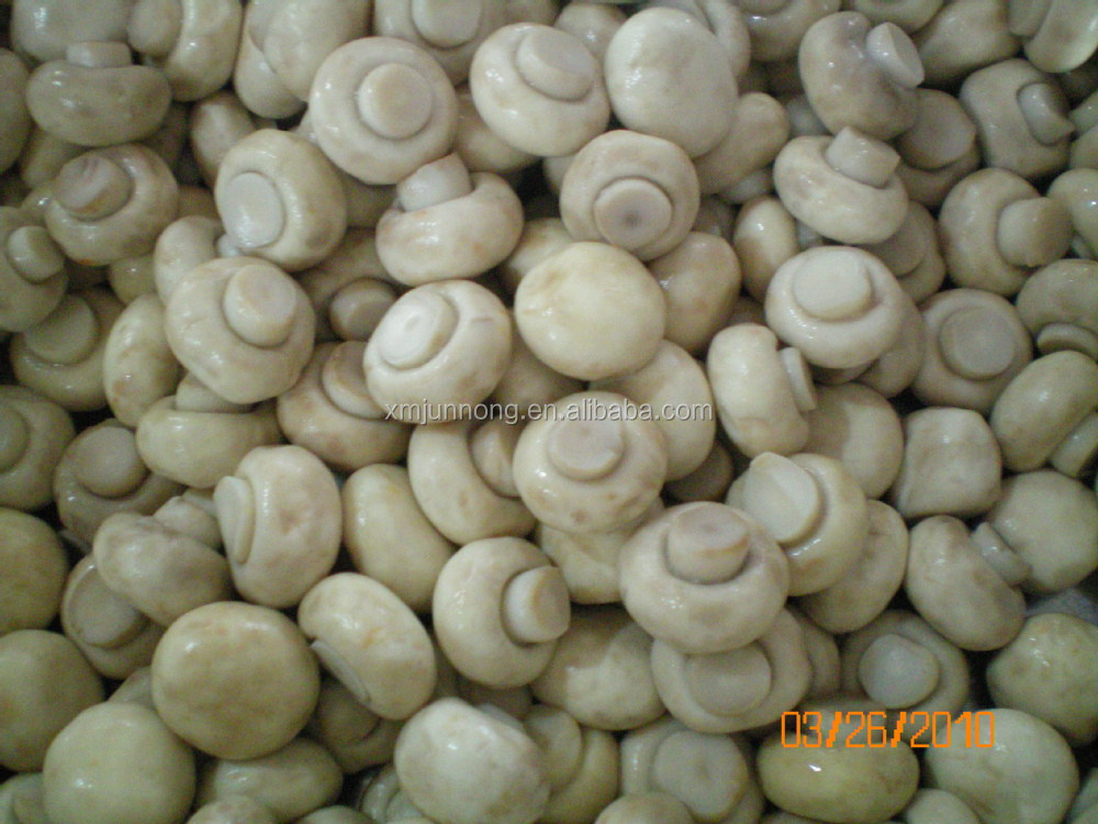 Canned whole mushroom or sliced canned mushroom