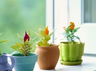 美しく、 キュートな家の装飾セラミック植木鉢仕入れ・メーカー・工場