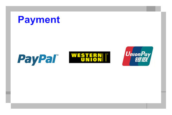 Payment1