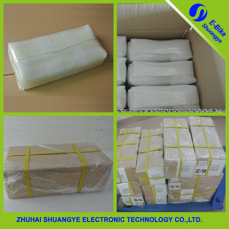 electric bicycle battery