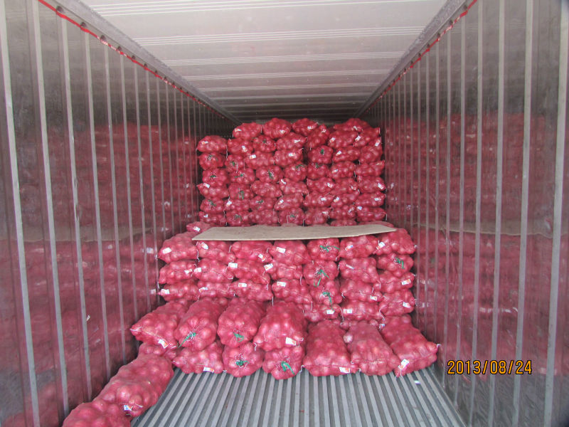 2014 new corp fresh onion fresh shallot onion