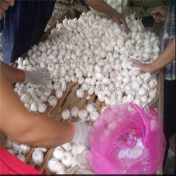 2014 new crop dehydrated natural garlic