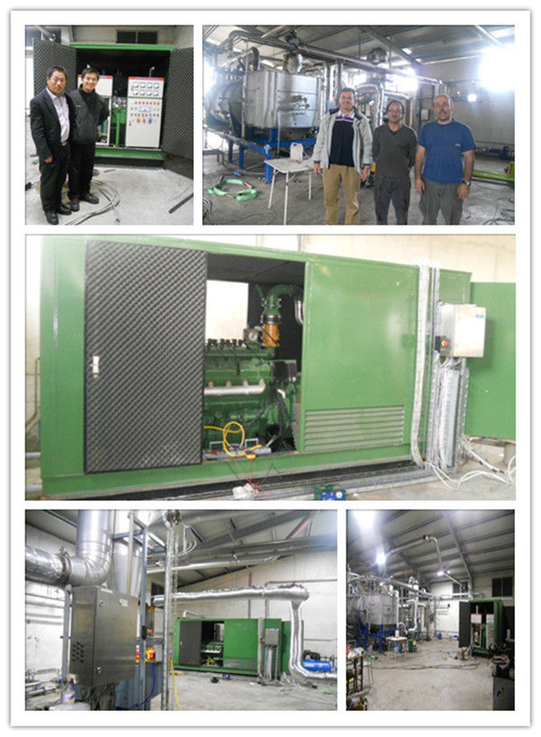 シーメンスオルタネータのcogenerator天然ガス圧縮機の発電機仕入れ・メーカー・工場