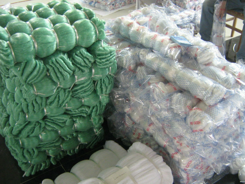 Sardine fishing net