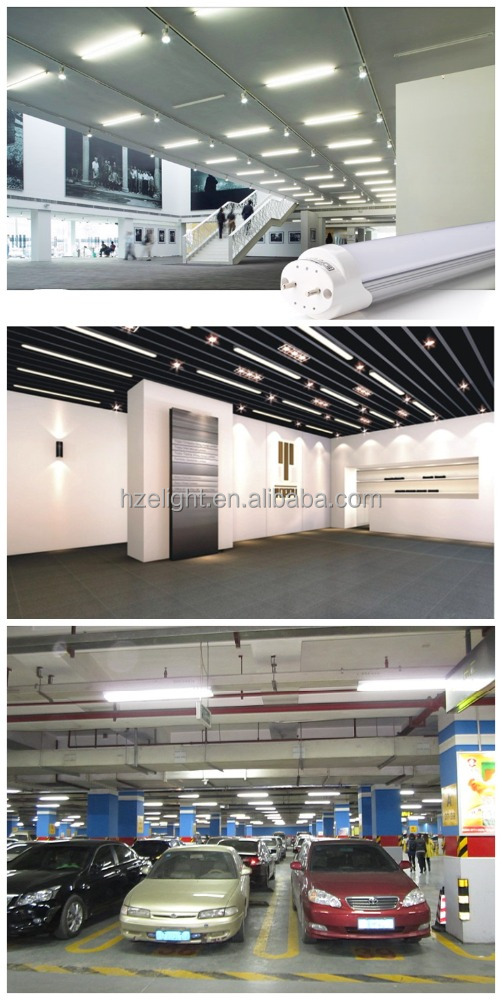 aylight White High Quality Hot T8 Led Tube 77