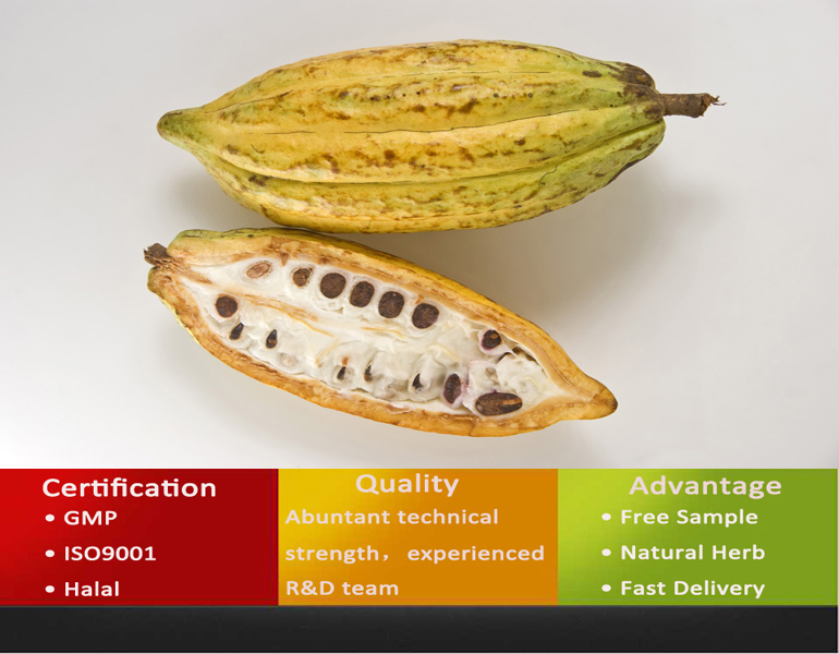 Cocoa Shell Powder/Alkalized Cocoa Powder Prices/Brands Of Cocoa Powder