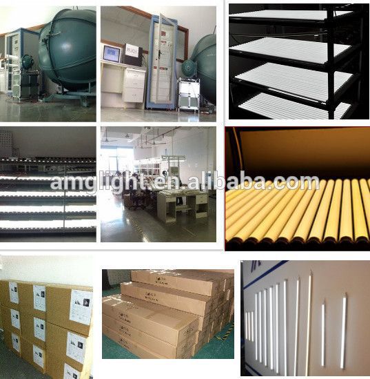 high brightness T8/T5/T10 Tube! Factor price t8 red tube sex led vietnam tube cinnamon 8W-24W