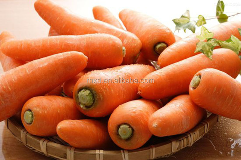 2014 new crop fresh carrot price