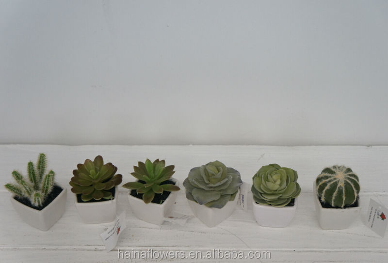 安いミニ人工的な鉢植えのベストセラーのアロエ植物仕入れ・メーカー・工場