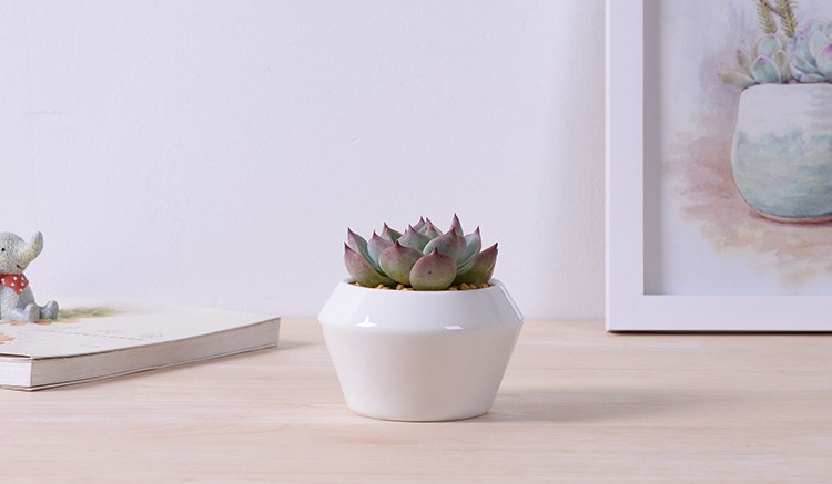 2016新しい デザイン屋内小さな白い セラミック植木鉢仕入れ・メーカー・工場